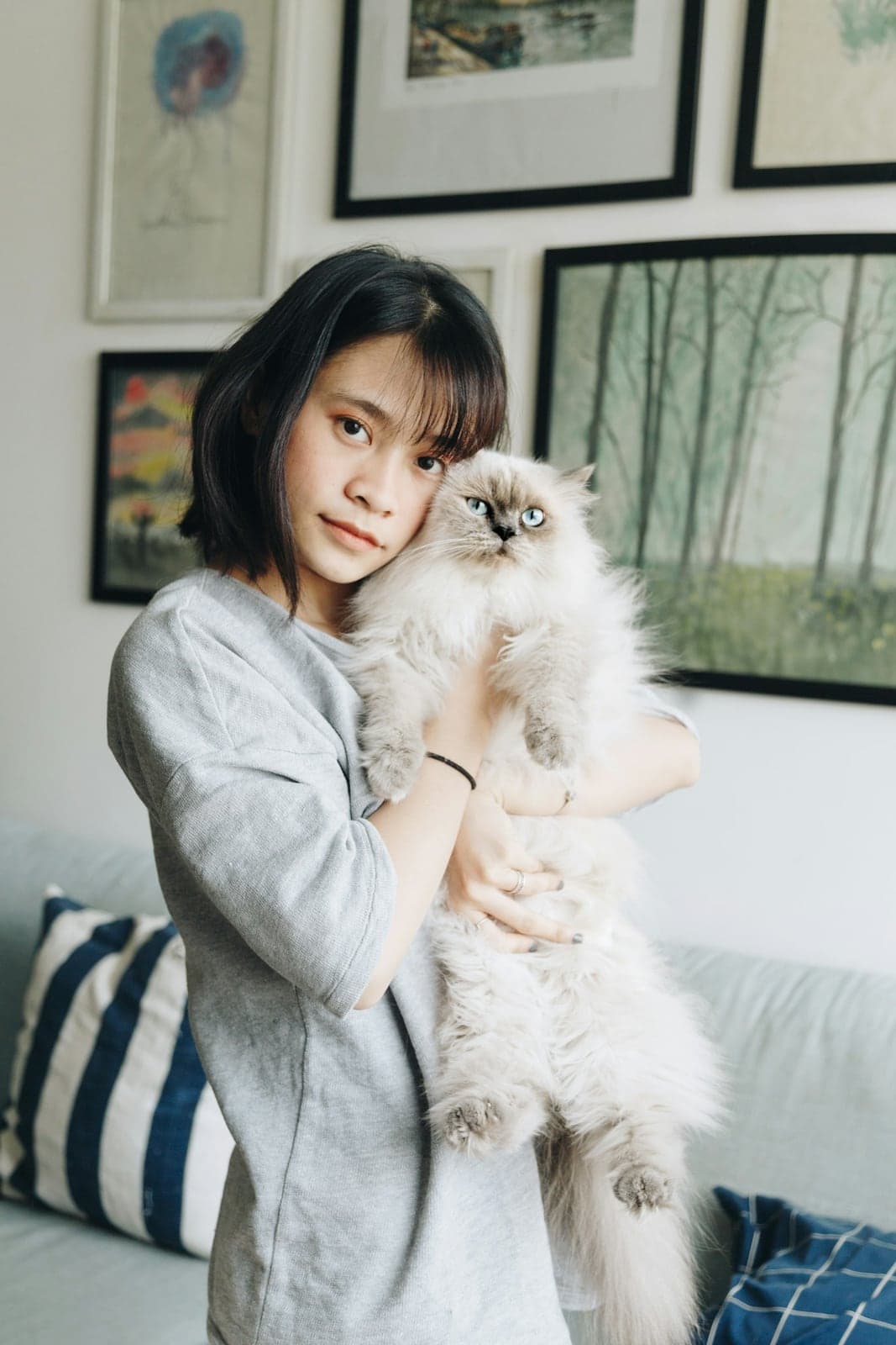 Pemilik memeluk kucing berbulu panjang dengan penuh sayang